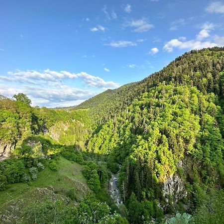 Green Mountain Borjomi Εξωτερικό φωτογραφία