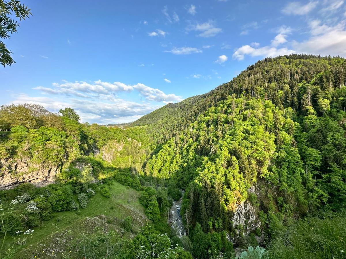 Green Mountain Borjomi Εξωτερικό φωτογραφία