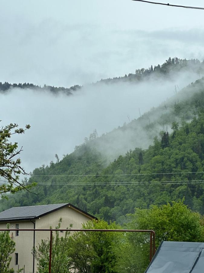 Green Mountain Borjomi Εξωτερικό φωτογραφία