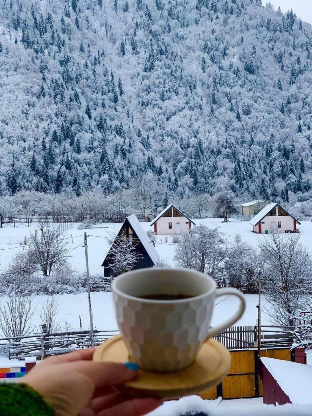 Green Mountain Borjomi Εξωτερικό φωτογραφία
