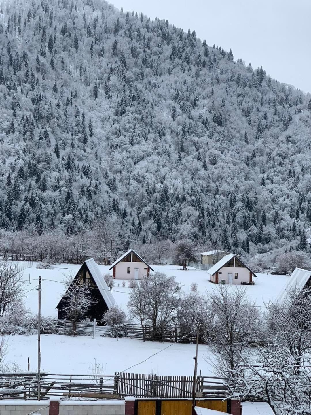 Green Mountain Borjomi Εξωτερικό φωτογραφία