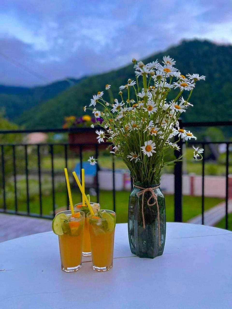 Green Mountain Borjomi Εξωτερικό φωτογραφία