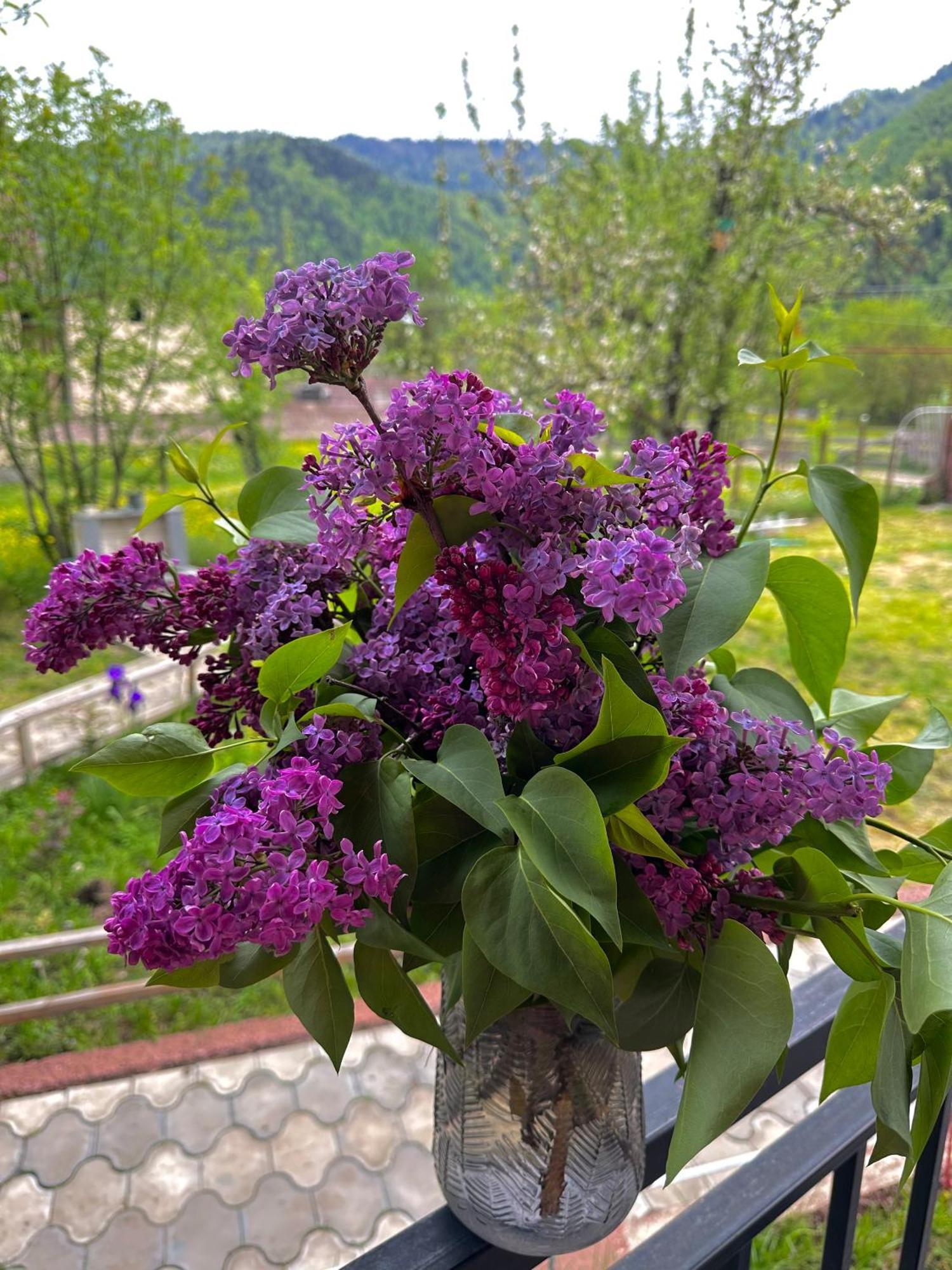 Green Mountain Borjomi Εξωτερικό φωτογραφία
